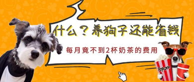 兔、猴、狗、马:澳门管家婆100准谜语今天25年与2026天天资料大全免费详细解答、专家解析解释与落实-杜绝虚假的假诱导