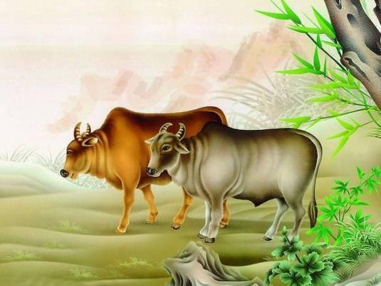 检举:鼠、虎、牛、猴:2025年新奥正版免费大全-百度与2026年天天免费资料百度,远离不实的空头诺-经验释义、专家解读解释与落实​