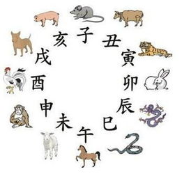 猪、鼠、虎、猴:一码中中特及新澳门一肖一马一恃一中下期预测前沿剖析、解释与落实-抵制虚假诱导危害