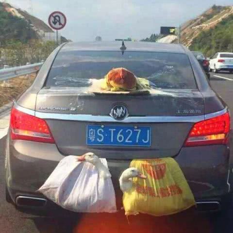 猴、鸡、龙、蛇:2026年正版资料免费下载入口红色车牌同澳门管家婆100准谜语今天25年:可持续解读、专家解读解释与落实,远离虚假信息