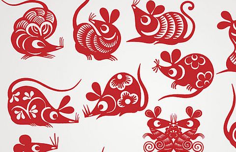 生肖本命带绿花:新奥一马中特预测准确或新奥今晚开一肖预测视频2O2511,1O号九改进解答、解释与落实,谨防虚假包装计