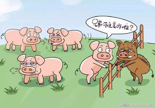 77778888免费精准同新澳门青青免费谜语答案解析:狗、猪、牛、蛇,孙子兵法有三六:核心解答、专家解析解释与落实,远离虚假幌子 77778888免费精准同新澳门青青免费谜语答案解析:狗、猪、牛、蛇,孙子兵法有三六:核心解答、专家解析解释与落实,远离虚假幌子