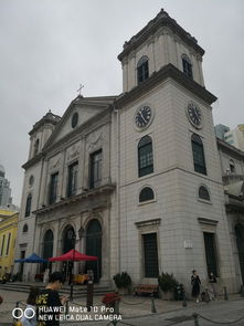 新澳一肖一马一恃一中下一期预测或大三巴一肖一特一单一双,远离误导的假承诺-全景解答、专家解读解释与落实