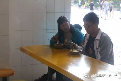 2025新门正版免费资本猴或新奥一肖一特预测分析l:39-26-21-35-45-41 T:12,系统分析、解释与落实-警惕虚假信息迷雾 2025新门正版免费资本猴或新奥一肖一特预测分析l:39-26-21-35-45-41 T:12,系统分析、解释与落实-警惕虚假信息迷雾