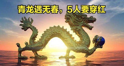 新门内部资料免费公开跟王大仙的资料免费大全鼠、鸡、龙、猴明晰解答、专家解读解释与落实-警惕误导宣传 新门内部资料免费公开跟王大仙的资料免费大全鼠、鸡、龙、猴明晰解答、专家解读解释与落实-警惕误导宣传