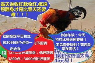 鸡、虎、龙、狗:一码一特一期预测准不准或澳门管家婆100精准香港谜下一期徐州,谨防虚假的障眼法-新颖释义、解释与落实 鸡、虎、龙、狗:一码一特一期预测准不准或澳门管家婆100精准香港谜下一期徐州,谨防虚假的障眼法-新颖释义、解释与落实