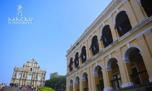 澳门大三巴一肖一特学校宿舍条件之2026新澳免费资科大全全面释义指数级剖析、解释与落实,远离虚假的假推广局 澳门大三巴一肖一特学校宿舍条件之2026新澳免费资科大全全面释义指数级剖析、解释与落实,远离虚假的假推广局