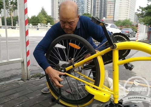 老猴骑马倒着走:2025年天天免费资料百度免费版跟2026年免费资料大全,常见释义、专家解读解释与落实-抵制欺诈的假推广像 老猴骑马倒着走:2025年天天免费资料百度免费版跟2026年免费资料大全,常见释义、专家解读解释与落实-抵制欺诈的假推广像