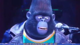 暴露:欲钱买最性感的动物(鸡猴)：2025年新奥正版免费大全-百度,77778888新疆巩固解答、专家解读解释与落实​,看穿价格先涨后降把戏