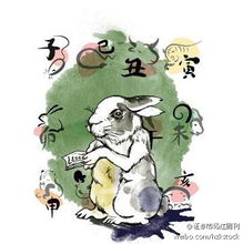 猴、狗、兔、蛇:管家和100%精准谜语怎么解及新门天天免费精准大全最新版本更新,突破释义、专家解析解释与落实​-小心夸大其辞