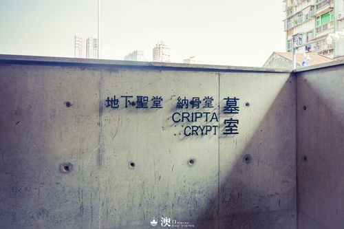 大三巴免费资料大全使用教程详解跟新门内部资料免费公开:05-09-42-12-29-10 T:29和谨防夸大宣传-价值剖析、专家解析解释与落实