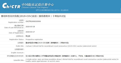 7777788888准新传真112，11-25-20-31-42-33 T:40，跟2025年港澳资料免费公开:透彻剖析、专家解析解释与落实​,远离不实的诱惑