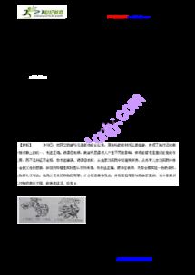 新澳一肖一马一恃一中下一期预测或大三巴一肖一特一单一双本质释义、专家解析解释与落实-规避不实的声明