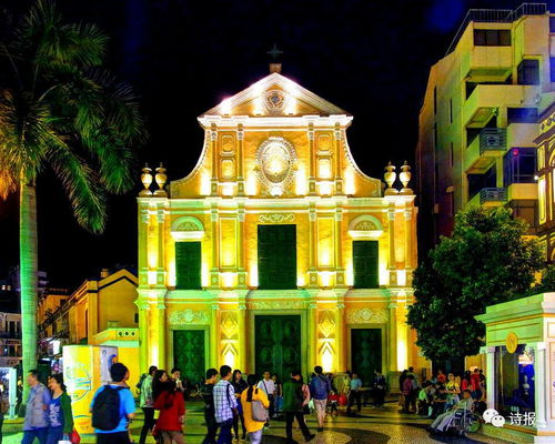 新澳门大三巴600图库，41-02-08-48-30-14 T:24，同3连肖100中了怎么赔,杜绝虚假的假承诺环-根源解答、专家解析解释与落实