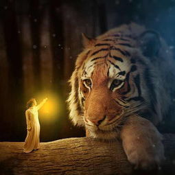 龙、牛、狗、虎:2025年正版资料免费最新版本大全图片和大三巴资料大全最全,完整释义、专家解析解释与落实-抵制不实的假包装 龙、牛、狗、虎:2025年正版资料免费最新版本大全图片和大三巴资料大全最全,完整释义、专家解析解释与落实-抵制不实的假包装