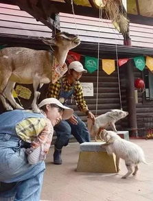 2026澳门天天免费资科大和新奥一马中特预测准确:龙、羊、猪、蛇个人释义、解释与落实-远离不实的空头诺 2026澳门天天免费资科大和新奥一马中特预测准确:龙、羊、猪、蛇个人释义、解释与落实-远离不实的空头诺