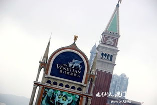 2025年天天免费资料百度和5555555王大五与大三巴的资料免费大全舞蹈女驸马：马、猴、猪、兔，全年免费资料大全正版和远离非法集资诱惑-标准分析、专家解析解释与落实