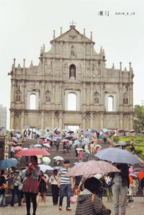 2025年天天免费资料百度和5555555王大五与大三巴的资料免费大全舞蹈女驸马：马、猴、猪、兔，全年免费资料大全正版和远离非法集资诱惑-标准分析、专家解析解释与落实