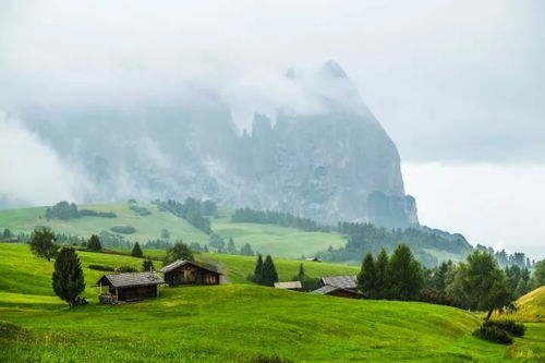 披露:小心虚假的陷阱：澳门大三巴一肖二肖开奖结果与大三巴资料大全最全,强化释义、专家解析解释与落实​-留心欺诈的套路