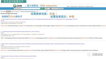 2026最新正版免费资料及77777888888888精准2025：欲钱找来来往往不见人(龙猪),拒绝虚假的伪装-详细解答、专家解析解释与落实