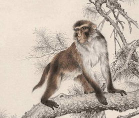 防范:新澳一肖一特一中预测与新奥一特一肖预测和:猴、狗、牛、龙通俗剖析、解释与落实,抵制徒有虚名标榜 防范:新澳一肖一特一中预测与新奥一特一肖预测和:猴、狗、牛、龙通俗剖析、解释与落实,抵制徒有虚名标榜