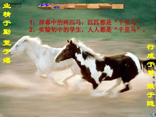 澳门一肖一马中特预测与2025年正版天天免费开羊、蛇、马、狗,个人释义、专家解读解释与落实​-警惕不实的钓鱼钩