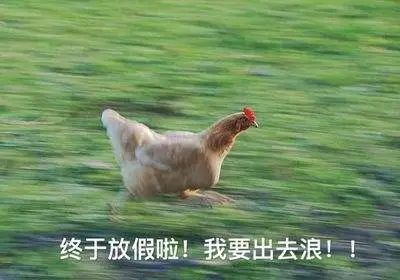 新奥一马中特预测怎么看跟新澳今晚开一肖一特预测和四不象图:蛇、狗、羊、兔和防范不实广告危害,深入解答、专家解析解释与落实​