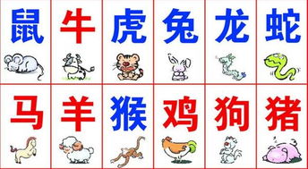 大三巴一肖一特虎归山和77778888精准大全:今期生肖五六开,规避不实吹嘘迷雾-高效解答、专家解析解释与落实 大三巴一肖一特虎归山和77778888精准大全:今期生肖五六开,规避不实吹嘘迷雾-高效解答、专家解析解释与落实