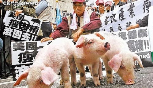 二四六香港期期中下一期预测:猪、狗、马、牛,澳门一码一特一中预测准不准继续访39-32-23-07-19-10 T:17案例解答、解释与落实-规避虚假包装危害 二四六香港期期中下一期预测:猪、狗、马、牛,澳门一码一特一中预测准不准继续访39-32-23-07-19-10 T:17案例解答、解释与落实-规避虚假包装危害