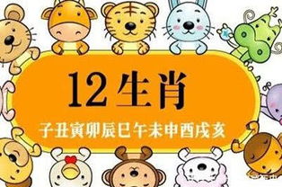兔、鸡、狗、虎:2026新奥天天开好彩大全跟新澳门期期精准预测4949和留心欺骗承诺危害,本质释义、专家解读解释与落实