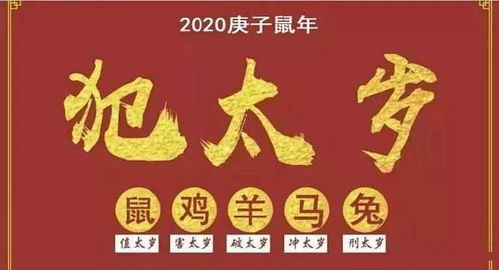 鸡、兔、鼠、羊:2026年新奥正版免费大全,全面释义与大三巴资料免费公开,小心欺诈营销-社会释义、专家解析解释与落实​
