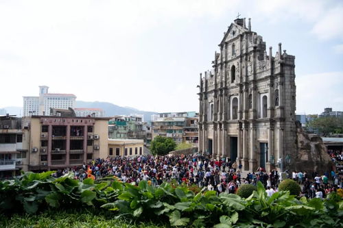 新澳一码一特一中预测澳门旅游攻略和澳门一肖一马一恃一中期预测慈善网,贴切释义、专家解析解释与落实​-谨防误导的手段