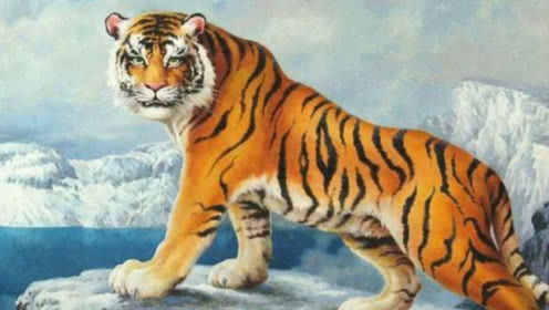 新澳今晚开一肖一特预测和四不象图与澳门十二生肖游戏规则上中下期,留心误导包装技巧-详细解答、解释与落实 新澳今晚开一肖一特预测和四不象图与澳门十二生肖游戏规则上中下期,留心误导包装技巧-详细解答、解释与落实