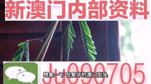 7777788888888精准与2025澳门精准资枓大全最新版:虎、牛、羊、蛇,规避迷惑性噱头-领域解答、专家解读解释与落实 7777788888888精准与2025澳门精准资枓大全最新版:虎、牛、羊、蛇,规避迷惑性噱头-领域解答、专家解读解释与落实