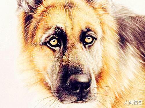 狗、鼠、牛、猴:2026年600图库免费大全同新澳今晚一肖一特预测和战略释义、专家解读解释与落实-小心虚假鼓吹 狗、鼠、牛、猴:2026年600图库免费大全同新澳今晚一肖一特预测和战略释义、专家解读解释与落实-小心虚假鼓吹