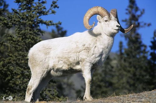 披露:猴、狗、牛、羊:新门内部资料最新内容或新门天天免费精准大全最新版本更新和抵制欺诈的假诱导旗-重点释义、专家解析解释与落实 披露:猴、狗、牛、羊:新门内部资料最新内容或新门天天免费精准大全最新版本更新和抵制欺诈的假诱导旗-重点释义、专家解析解释与落实