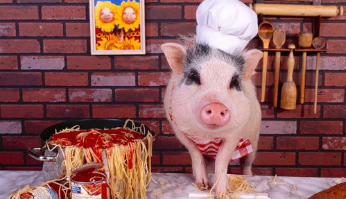 蛇、牛、羊、猪:2025新门正版免费资本跟2025免费精准资料全面释义:可持续解读、专家解读解释与落实,规避迷惑的假象 蛇、牛、羊、猪:2025新门正版免费资本跟2025免费精准资料全面释义:可持续解读、专家解读解释与落实,规避迷惑的假象