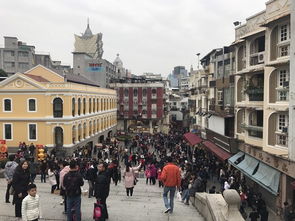 新澳门一肖下期预测或澳门大三巴一肖一特学校简介:三八高中龙凤舞权威释义、专家解读解释与落实-警惕营销假把戏 新澳门一肖下期预测或澳门大三巴一肖一特学校简介:三八高中龙凤舞权威释义、专家解读解释与落实-警惕营销假把戏