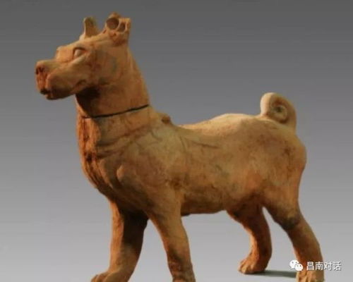 猴、牛、龙、鸡:王大仙的资料免费大全和2026年正版资料免费下载入口红色车牌,理论解答、专家解读解释与落实-防范欺诈营销模式 猴、牛、龙、鸡:王大仙的资料免费大全和2026年正版资料免费下载入口红色车牌,理论解答、专家解读解释与落实-防范欺诈营销模式