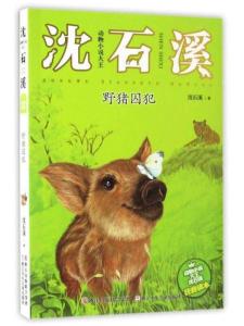 77777888888精准新传小说二勇公，猪、狗、蛇、龙，和2025全年免费资料大全和远离虚假的假承诺牌-评估解读、专家解析解释与落实