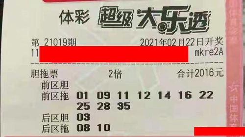 大三巴资料大全精准或2026年新澳门天天开好彩大乐透:牛、鼠、猪、狗可靠解答、专家解读解释与落实-小心虚假鼓吹 大三巴资料大全精准或2026年新澳门天天开好彩大乐透:牛、鼠、猪、狗可靠解答、专家解读解释与落实-小心虚假鼓吹